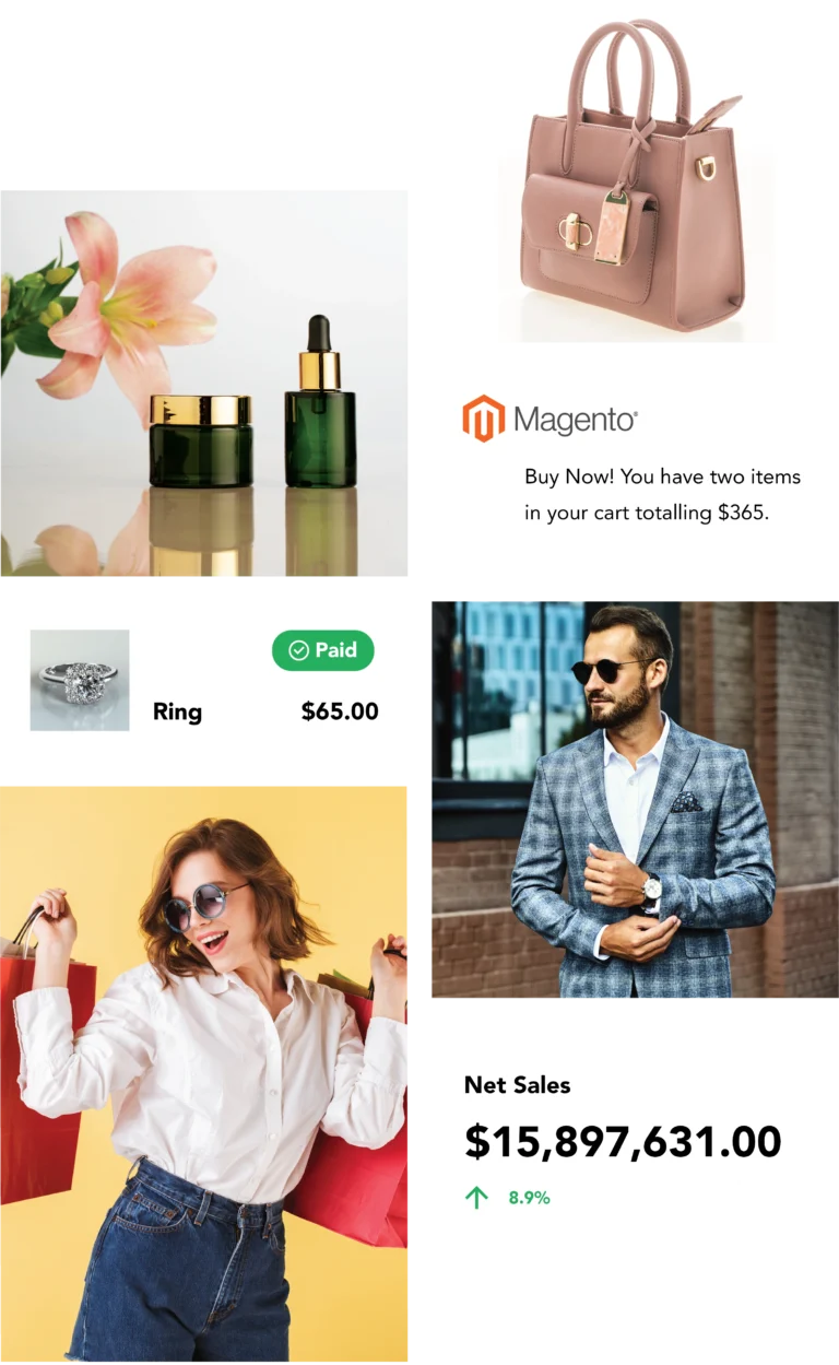 magento web development