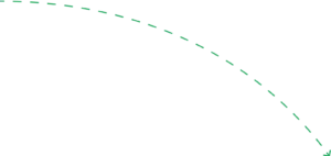 vector 7