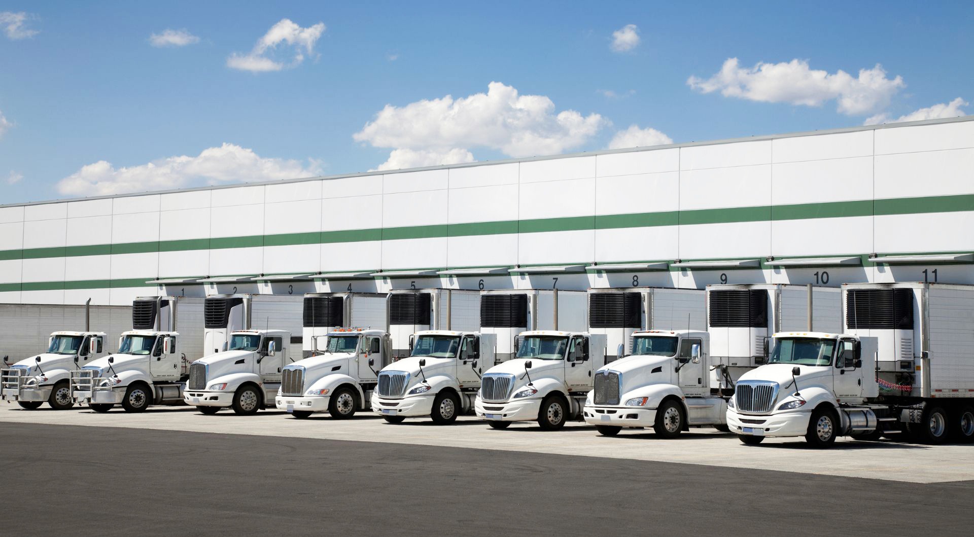 How to Choose the Right Distribution ERP Software for Your Business