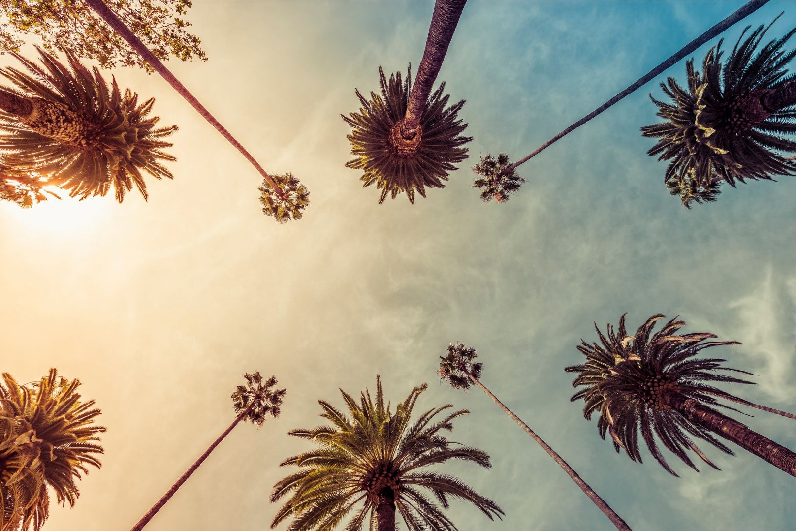 CertiPro Sponsors Odoo Business Show Los Angeles 2026